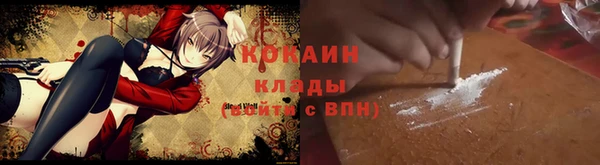 гидра Михайловск