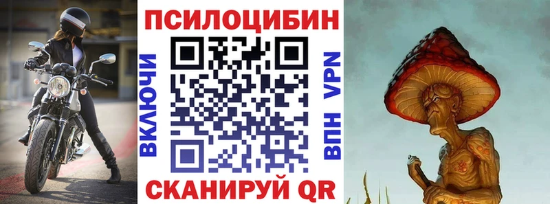 Галлюциногенные грибы мицелий  Цоци-Юрт 